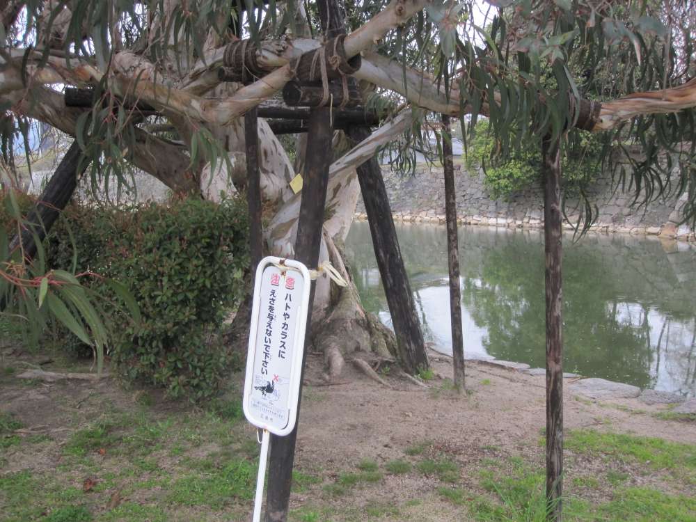 Day 7, Image 148