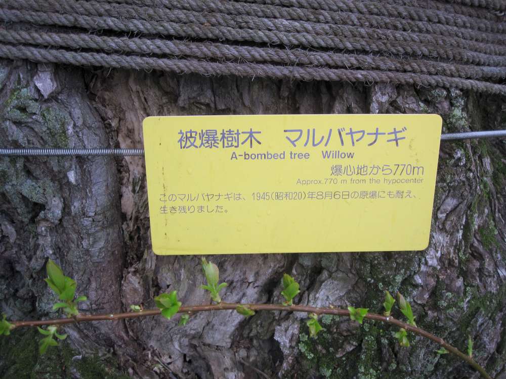 Day 7, Image 153