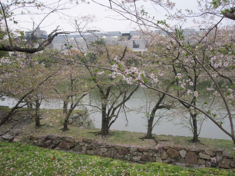 Day 7, Image 183