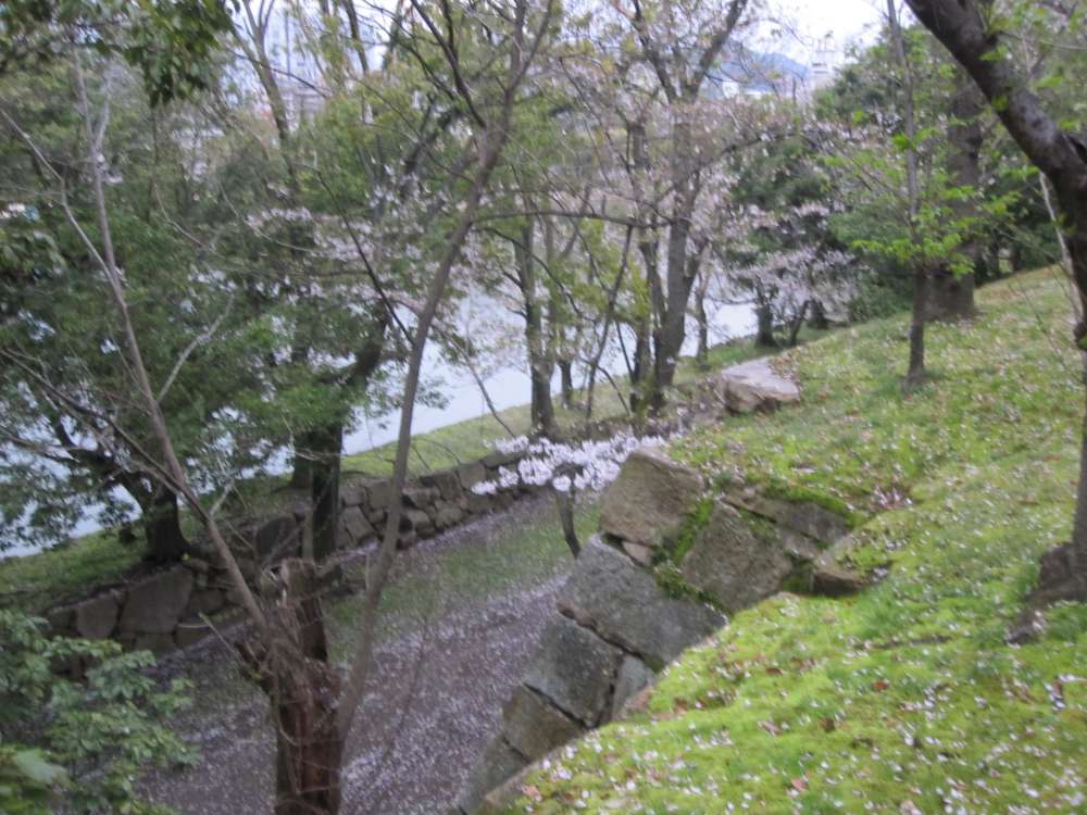 Day 7, Image 185