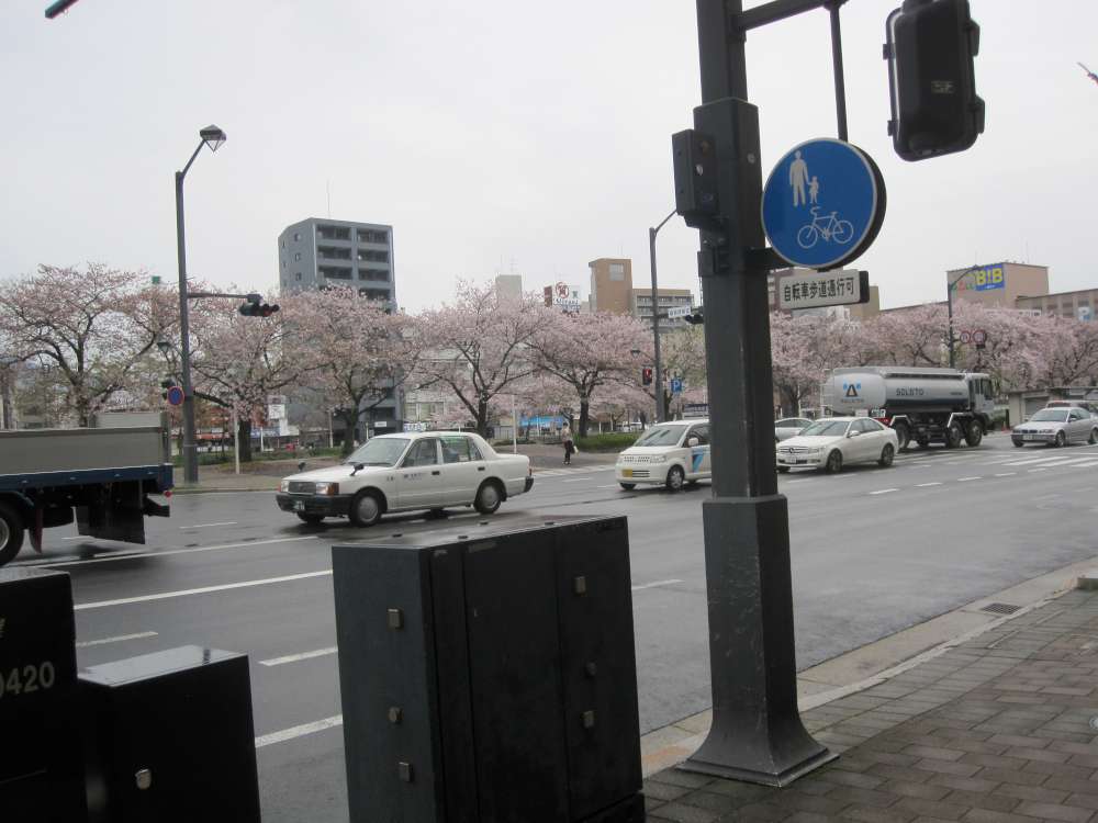Day 7, Image 34