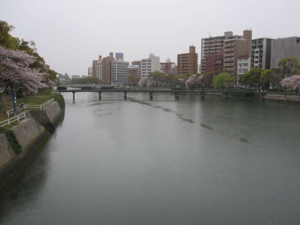 Day 7, Image 39