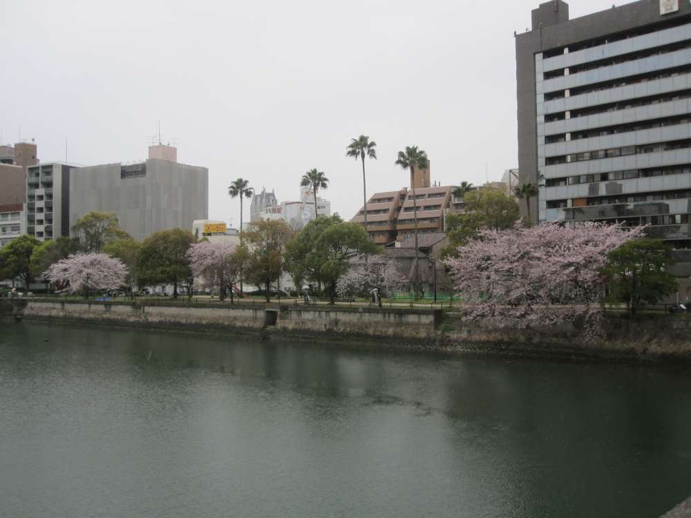 Day 7, Image 40