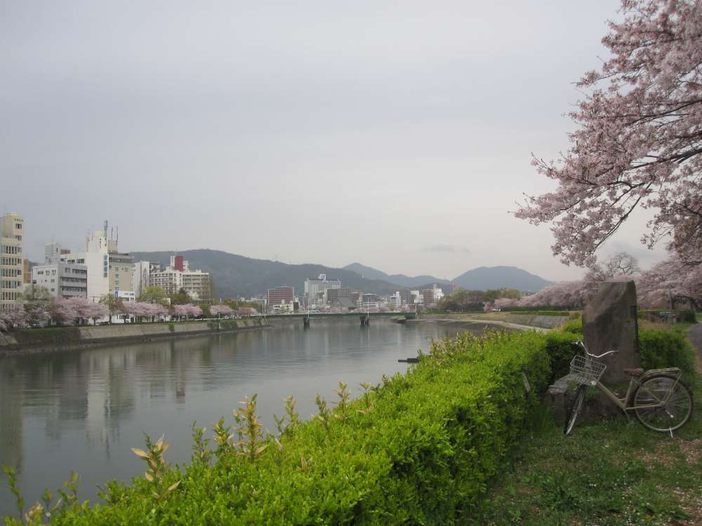 Day 7, Image 90