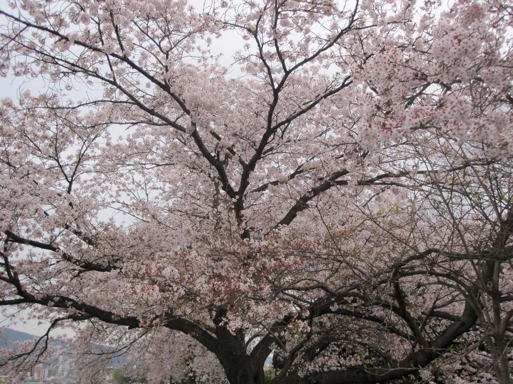 Day 7, Image 97