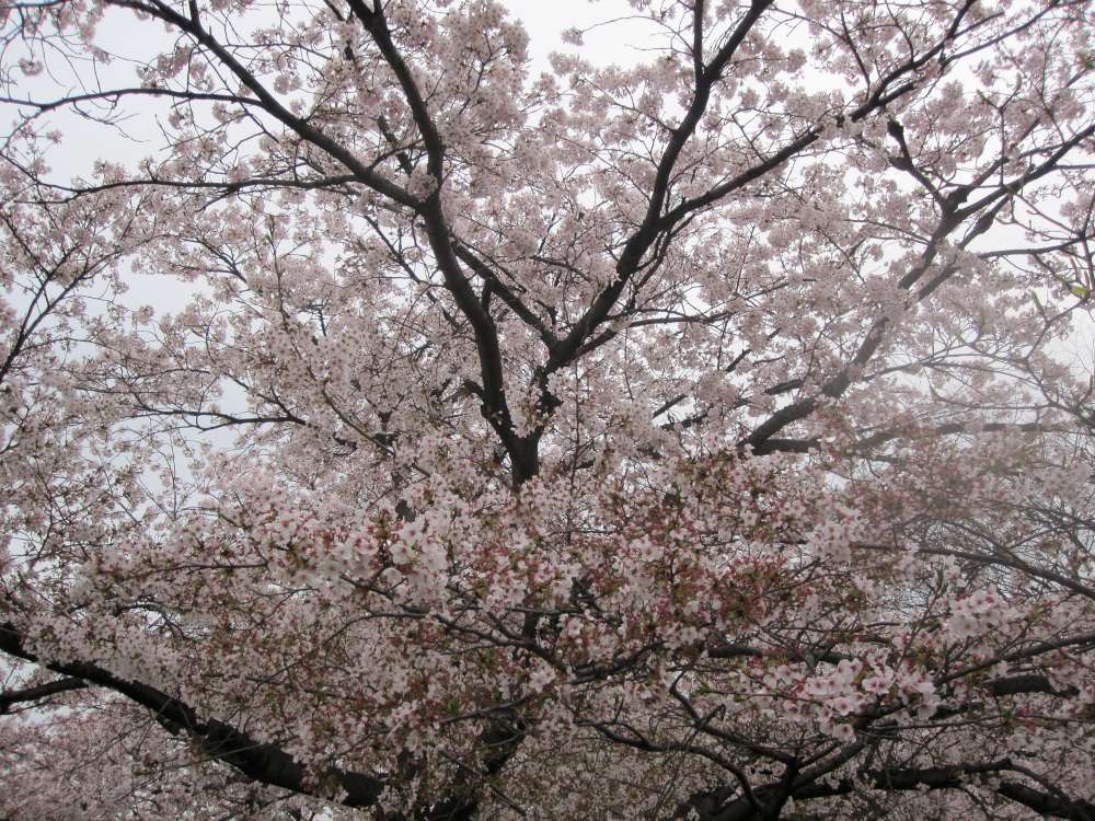 Day 7, Image 98