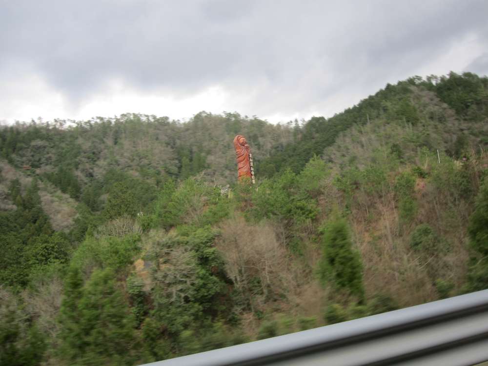 Day 8, Image 21