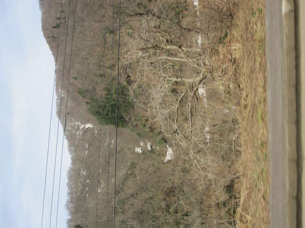Day 9, Image 23